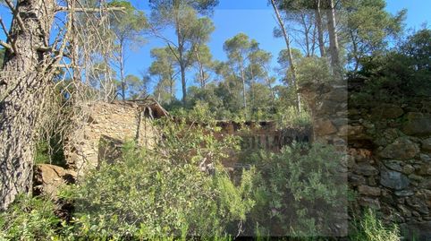Photo 4 of Land for sale in Poligono Pineda Pals -ampliacio-, Platja de Pals, Pals