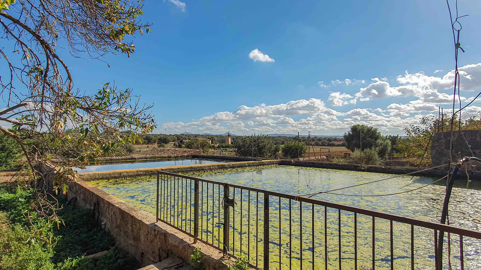 Jardí de Finca rústica en venda en  Palma de Mallorca amb Jardí privat, Terrassa i Traster