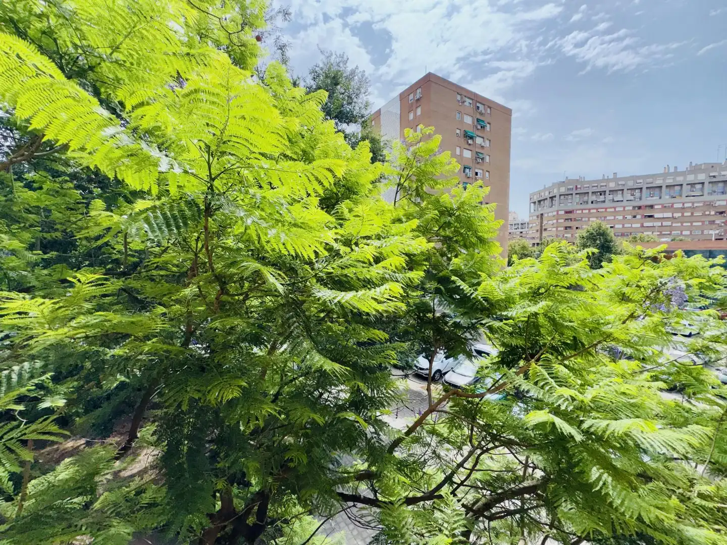 Flat for sale in Oscar Espla, imagen 25