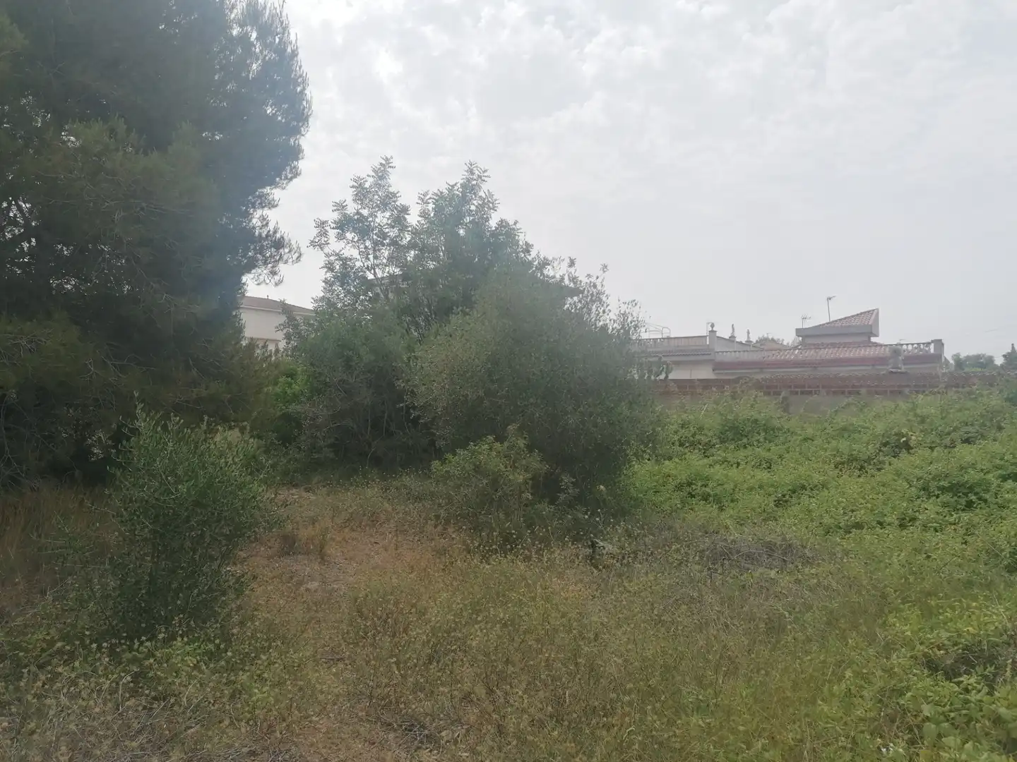 Wohnbaugrundstück zum Verkauf in Carrer Felip Pedrell 3, imagen 7