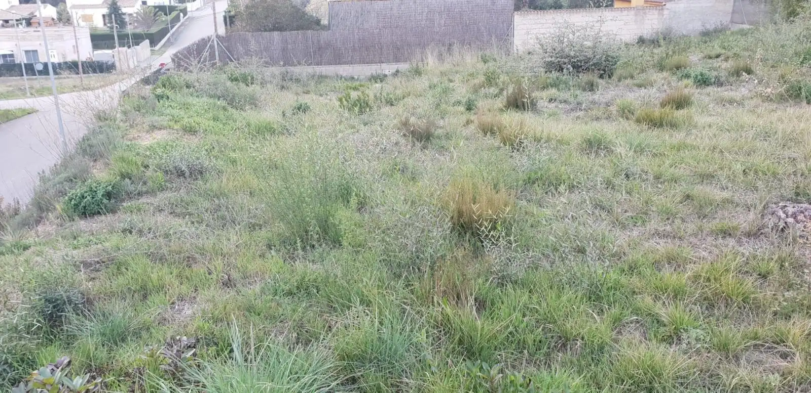 Terreny residencial en venda a Santa Coloma de Farners, imagen 4
