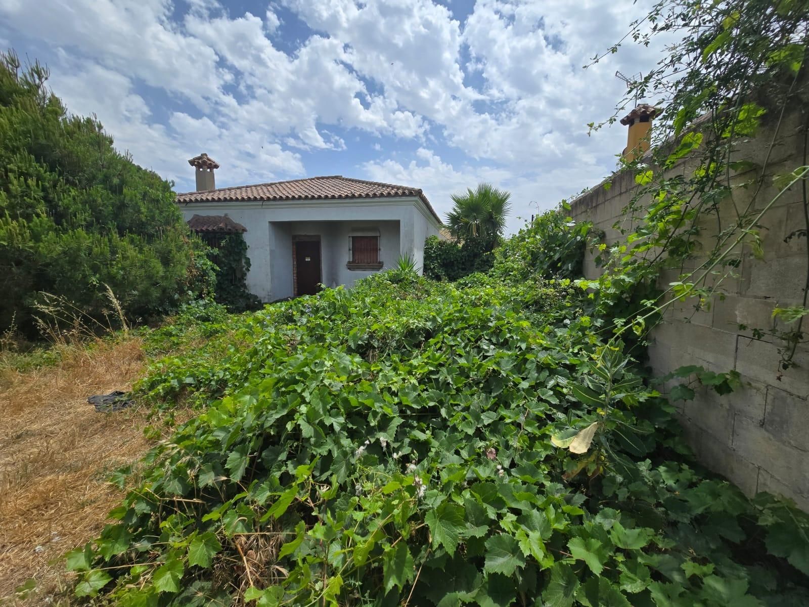 House or chalet for sale in Los Franceses – La Vega