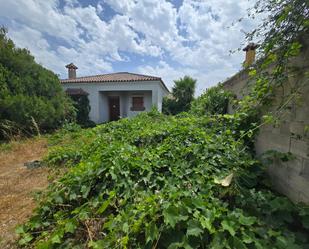 Casa o xalet en venda en Chiclana de la Frontera amb Jardí privat i Piscina comunitària