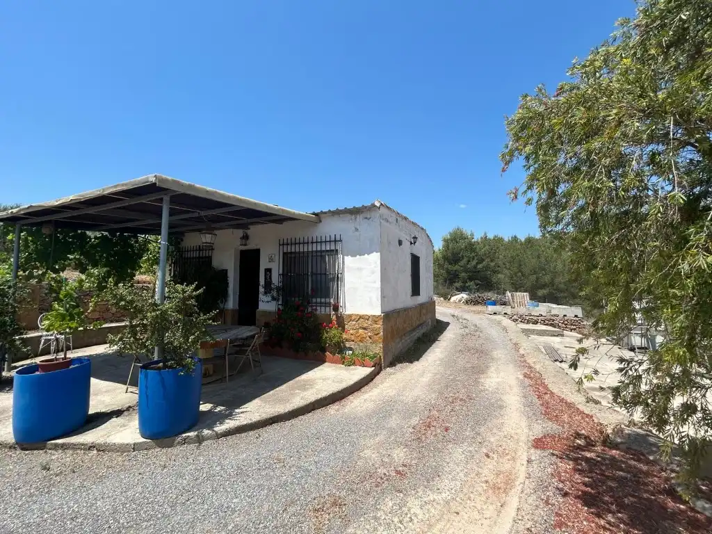 Vista exterior de Finca rústica en venta en Sot de Ferrer