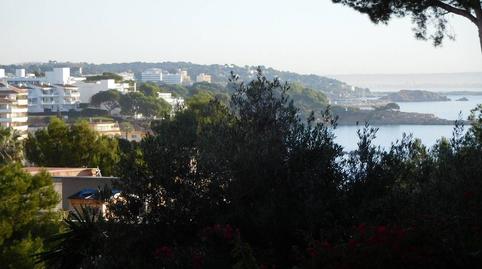 Photo 4 of Residential for sale in Palmanova, Illes Balears