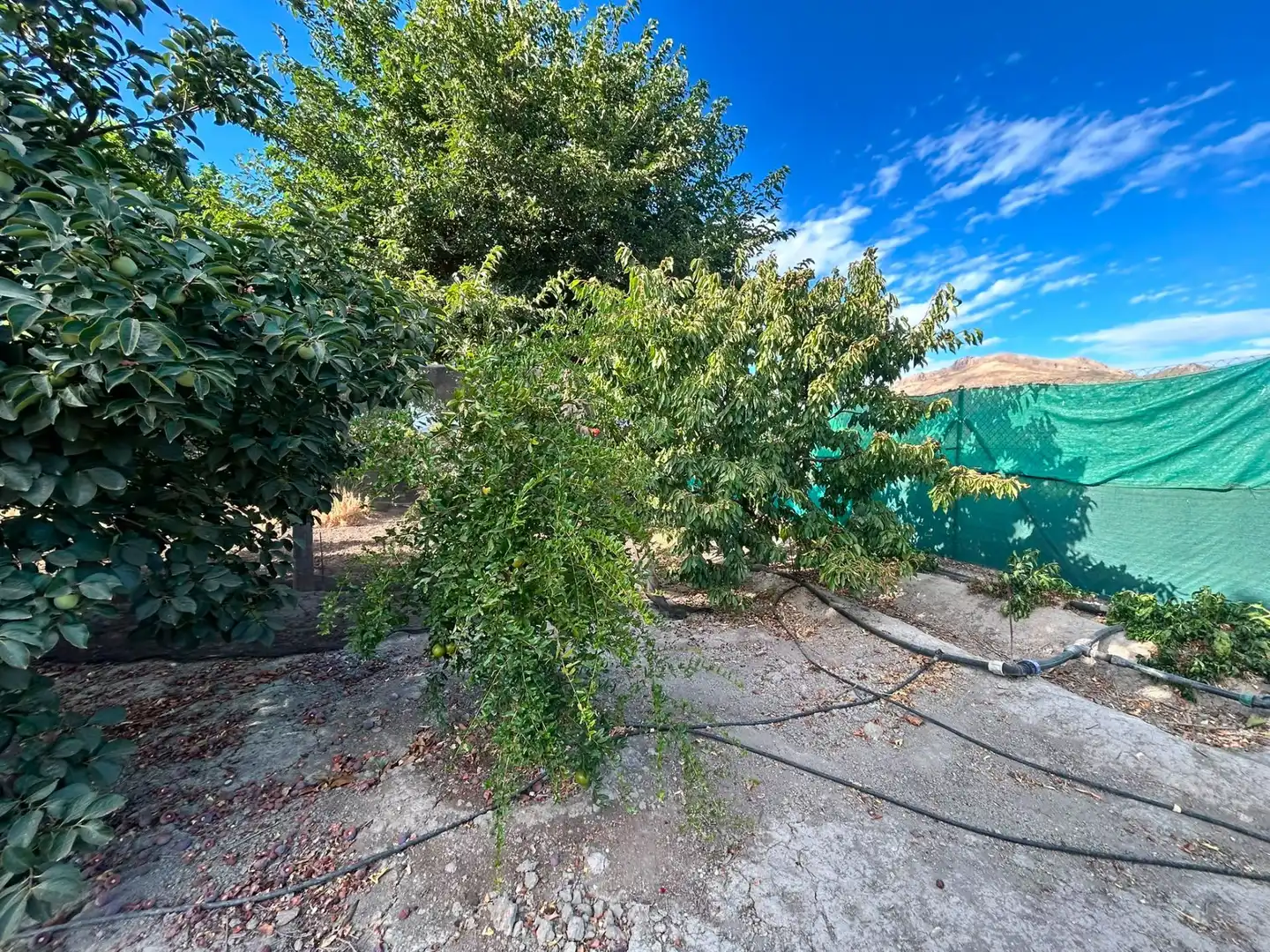 Terrains et parcelles à vendre à Fuente Vaqueros, imagen 8