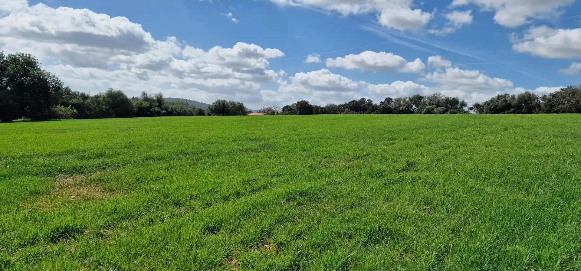 Country homes for sale in Manacor