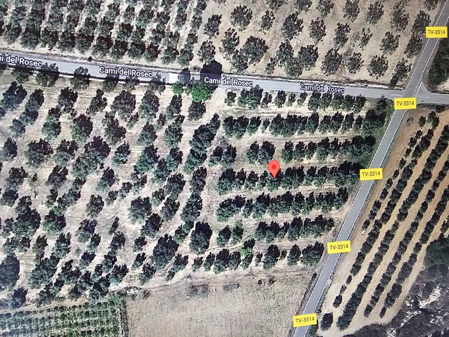 Rural land for sale in Godall, imagen 8