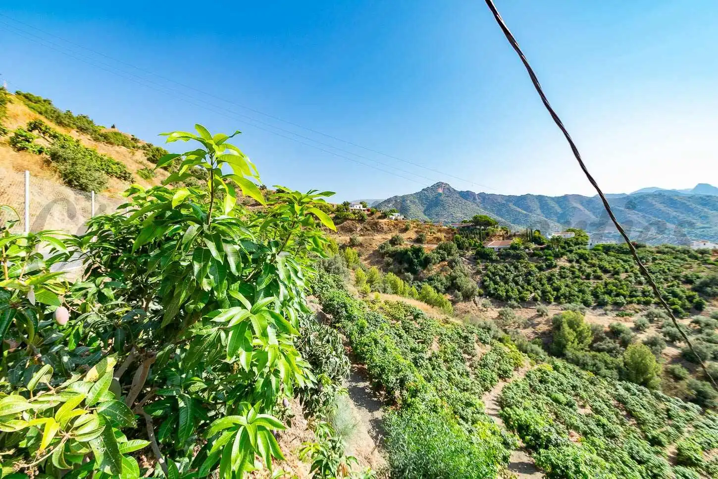Rustikales Grundstück zum Verkauf in Torrox Pueblo, imagen 4
