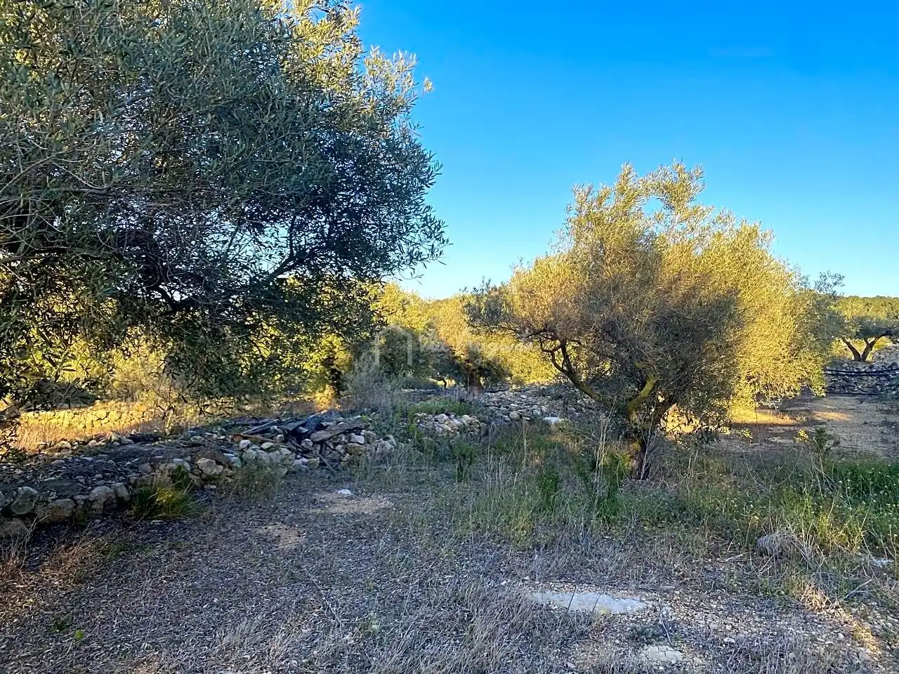 Terreno rustico in vendita a Aubach, imagen 18