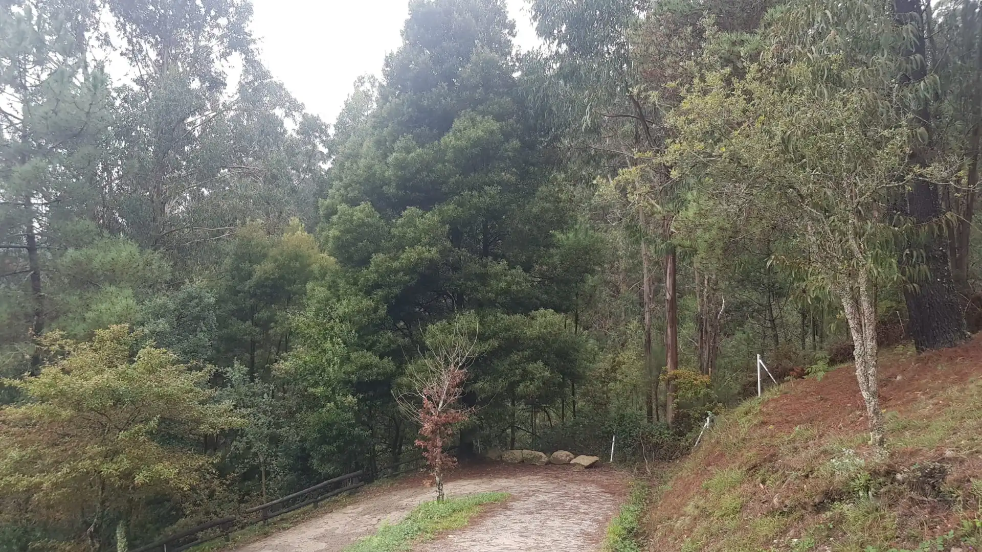 Residential for sale in Moaña