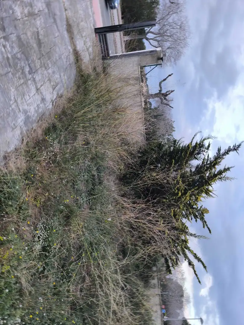 Industrial land for sale in Els Pallaresos