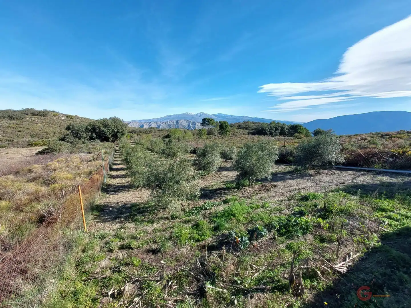 Country homes for sale in Molvízar
