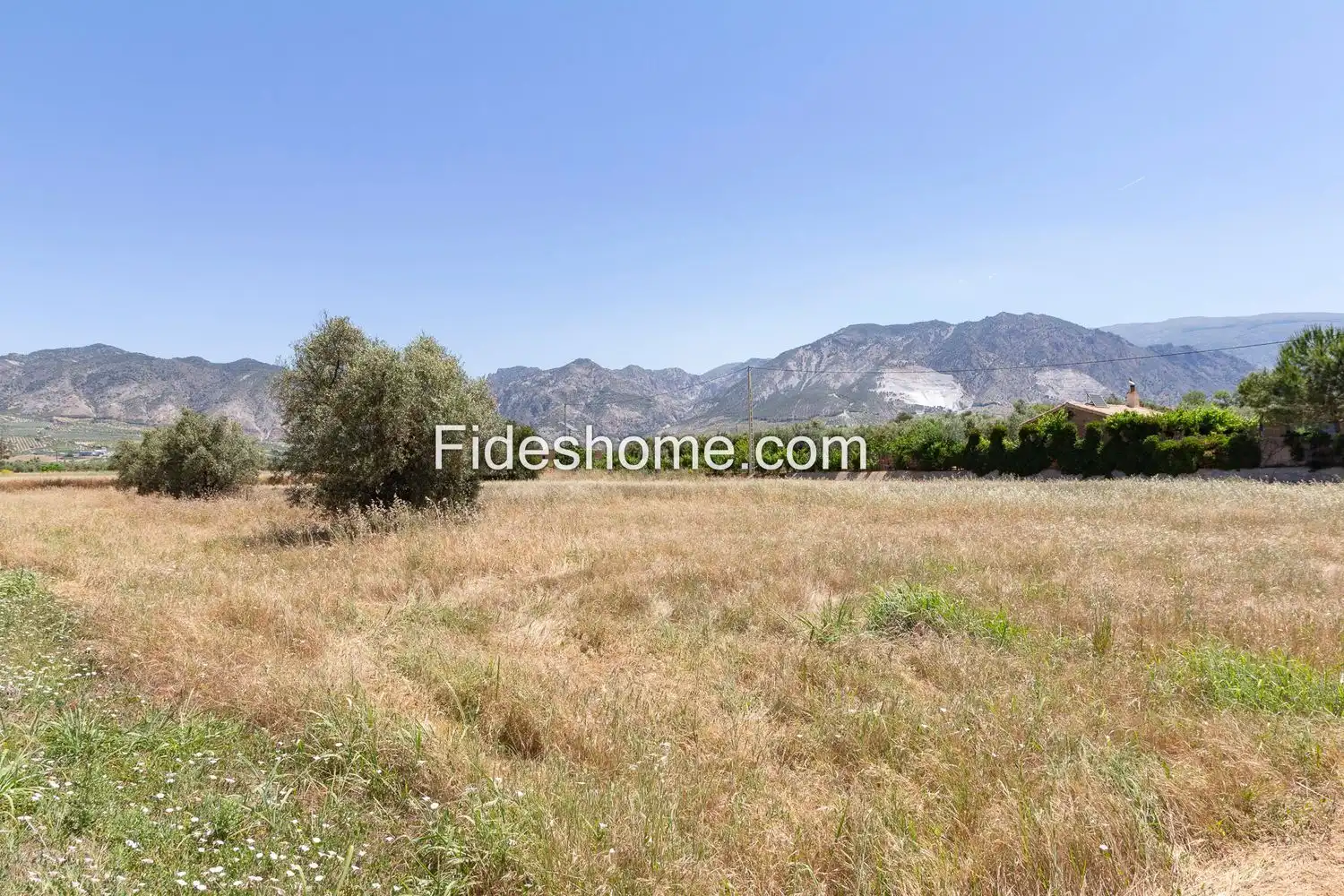 Rural land for sale in XCV6+H86 Cozvijar 0, imagen 5