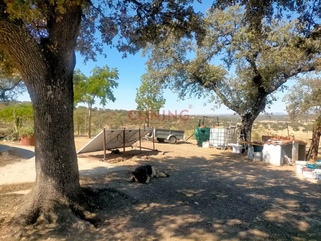 Maison rustique à vendre à Poligono 2 Paraje 95 Dehesa Boyal, imagen 37