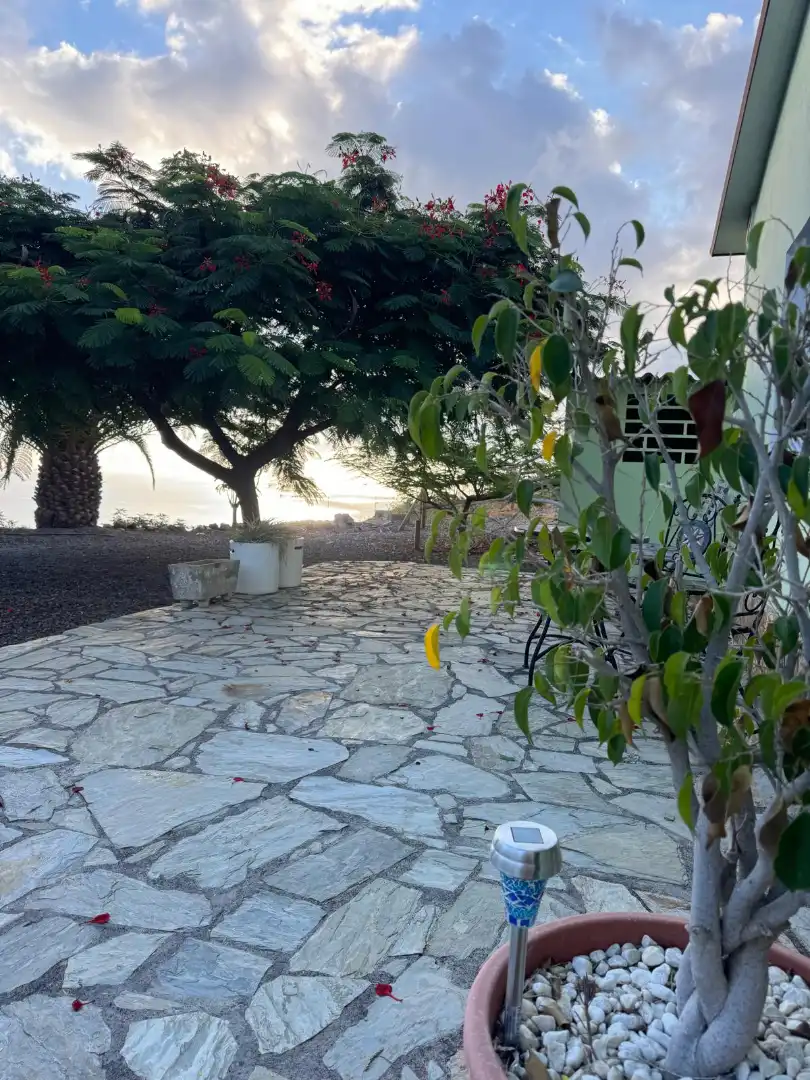 Terrace of Country homes for rent in Güímar