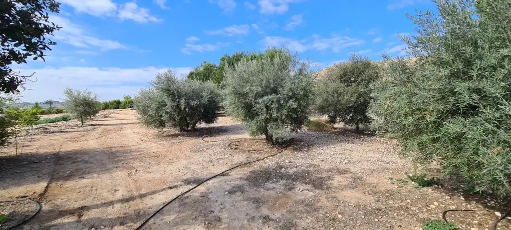 Casa o chalet en venta en Orihuela con Aire acondicionado, Terraza y Trastero
