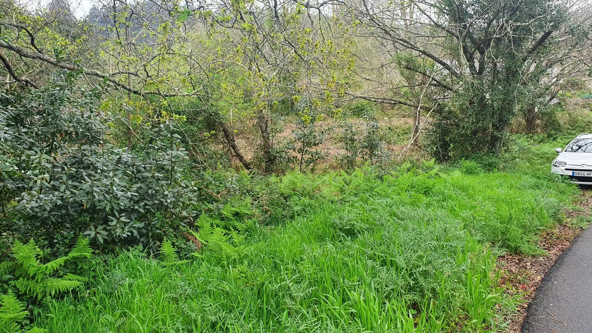 Wohnbaugrundstück zum Verkauf in Vilarmaior, imagen 4
