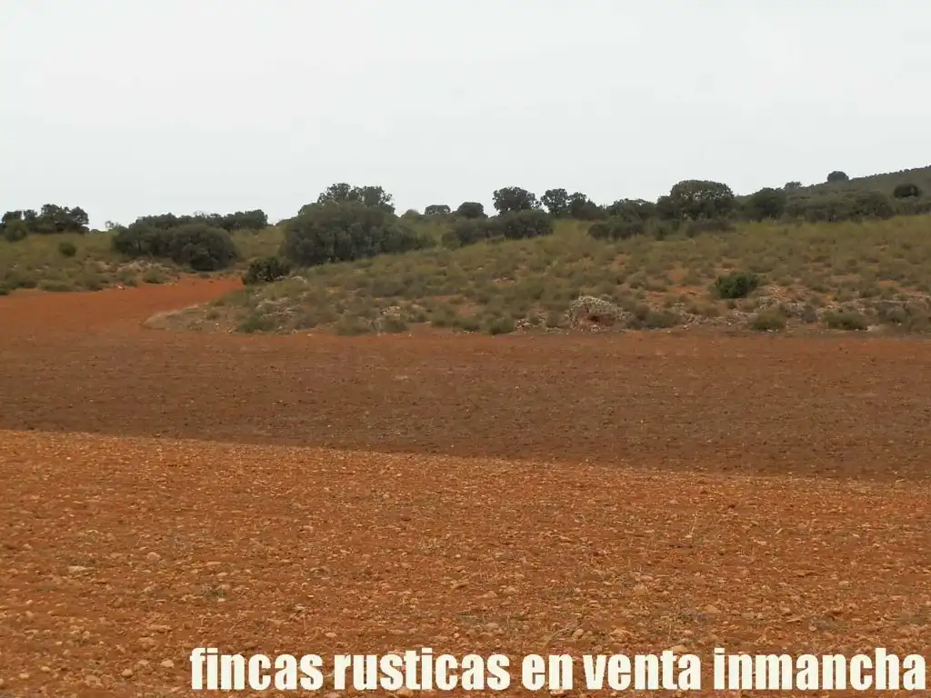 Terreny rústic en venda a Calle Albacete 10, imagen 13