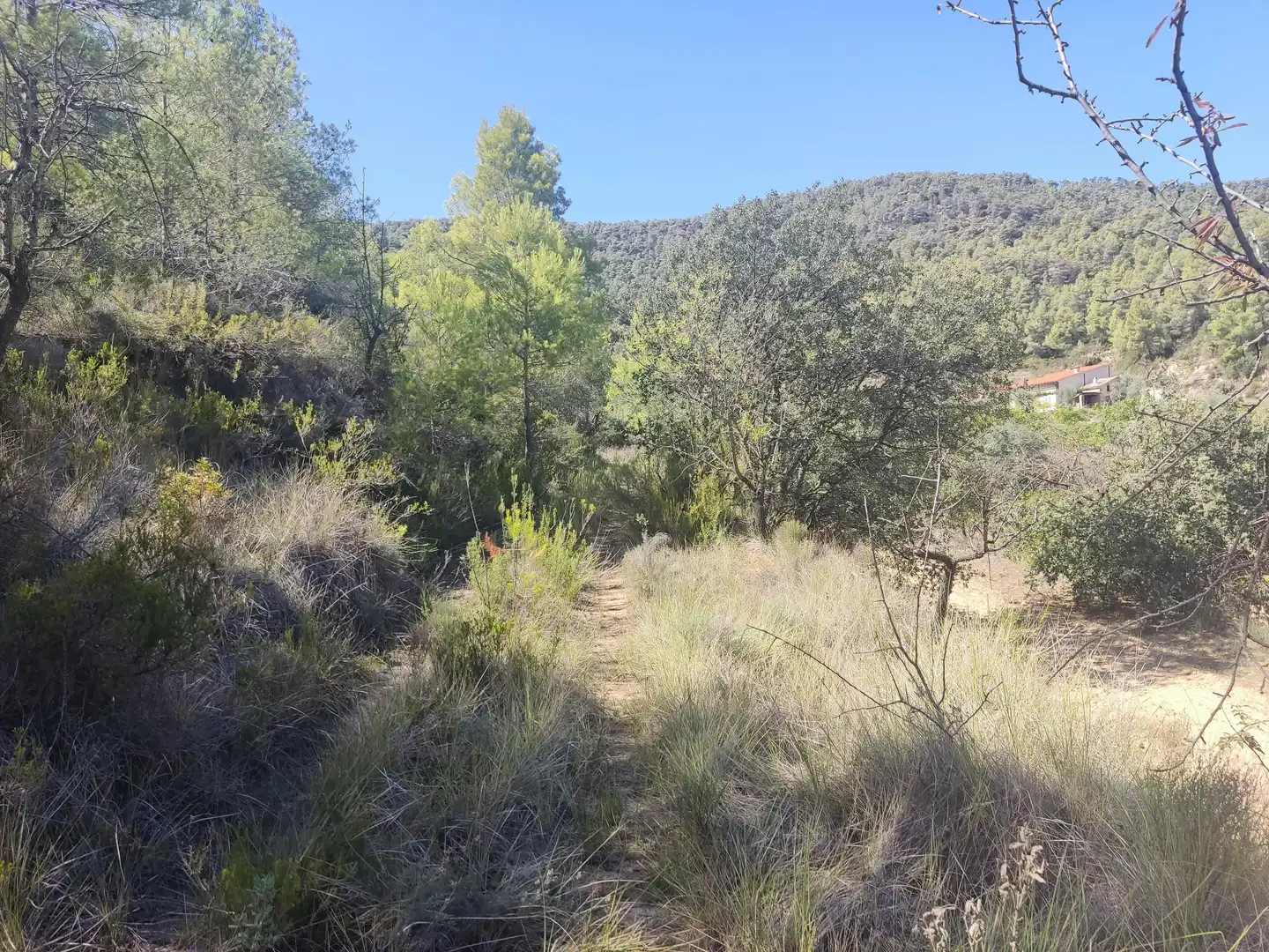 Rural land for sale in Horta de Sant Joan, imagen 7