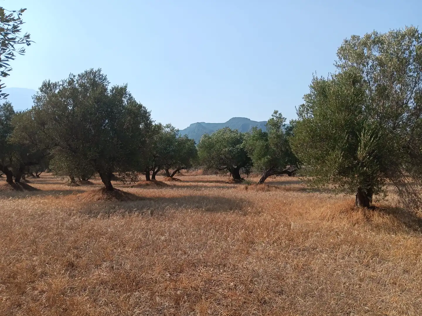 Residencial en venta en Tortosa
