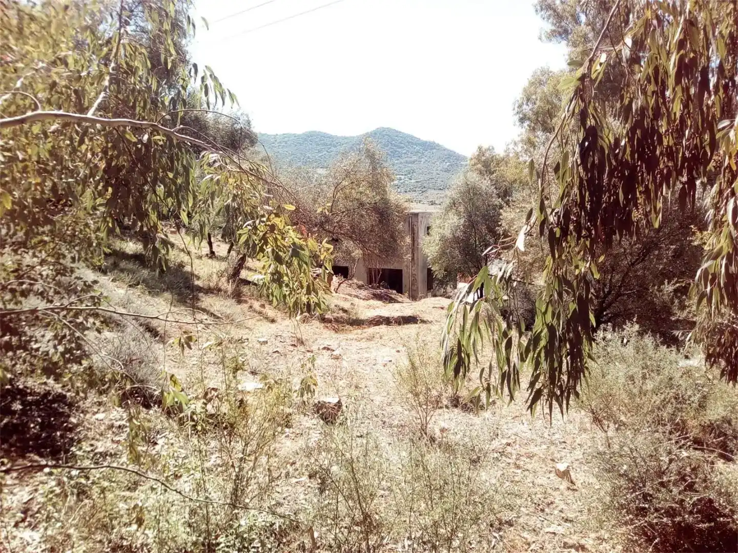 Casa o xalet en venda en Cortes de la Frontera amb Jardí privat i Traster