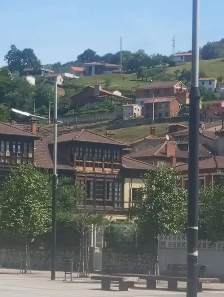 Vista exterior de Residencial en venta en Laviana