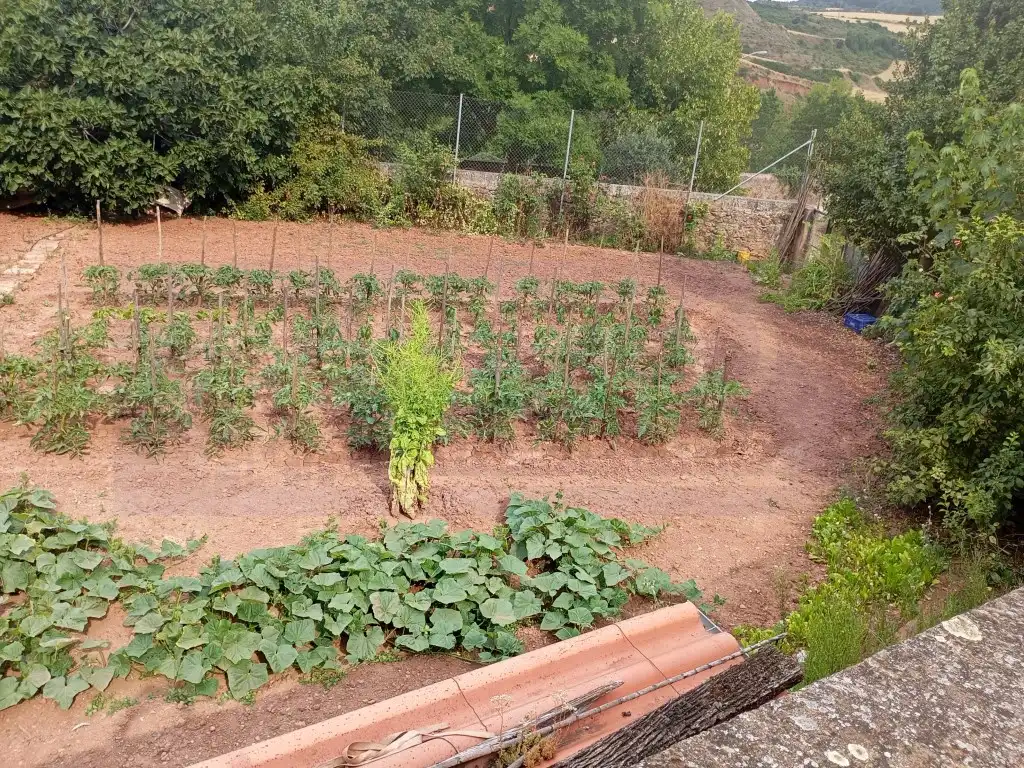 Terreno residenziale in vendita a Estollo, imagen 5