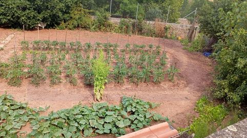 Terreno Venta Estollo, immagine 5