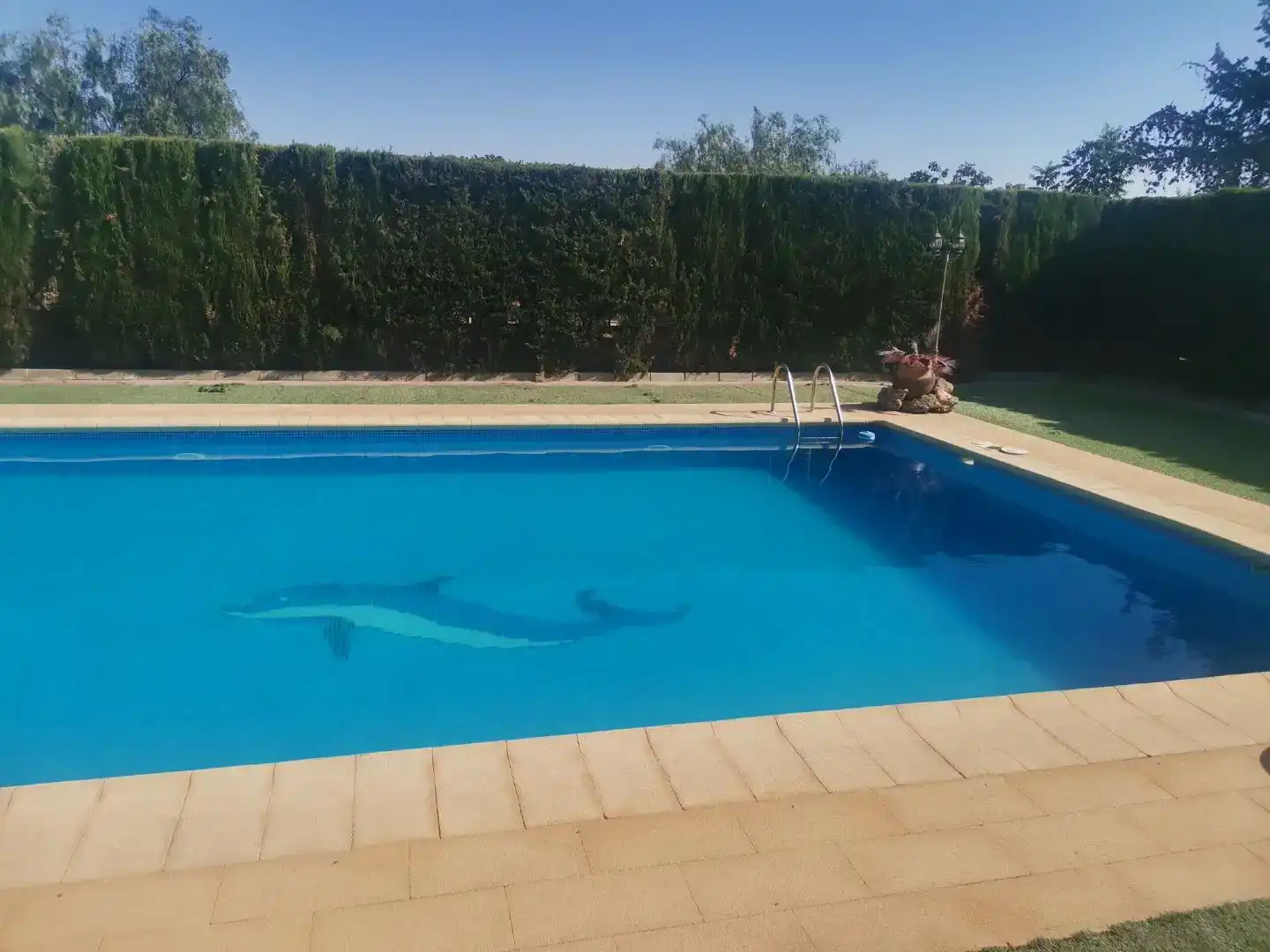 Piscina de Pis en venda en Hellín amb Piscina