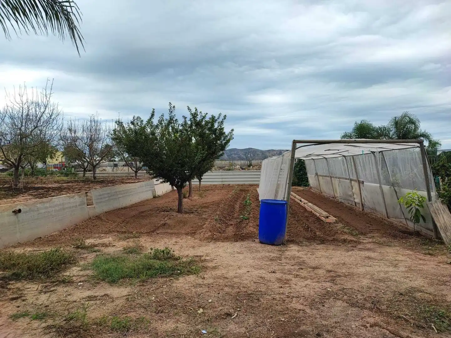 Lands and plots for sale in Sueca ciudad, imagen 6