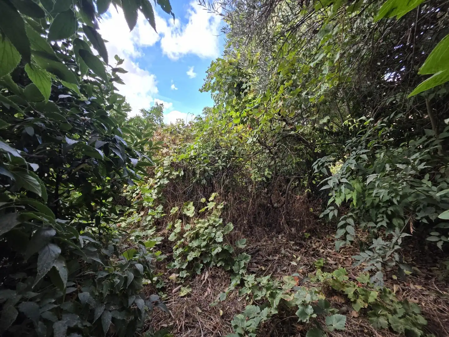 Terrenys i solars en venda a Fuente de Piedra, imagen 3