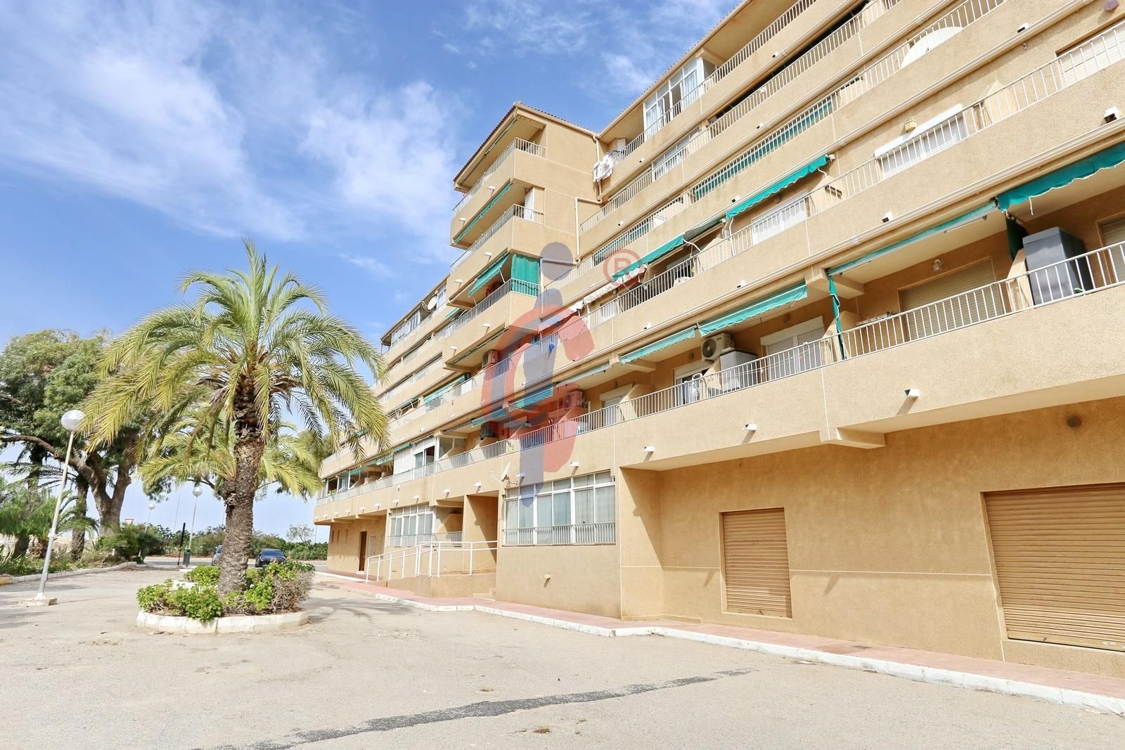 Exterior view of Apartment for sale in Guardamar del Segura  with Terrace