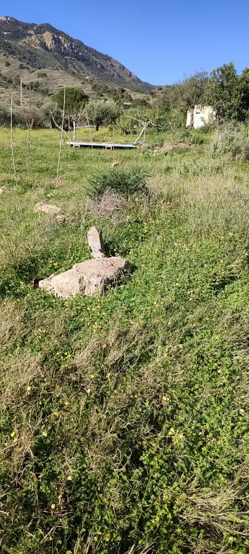 Land for sale in Cartagena