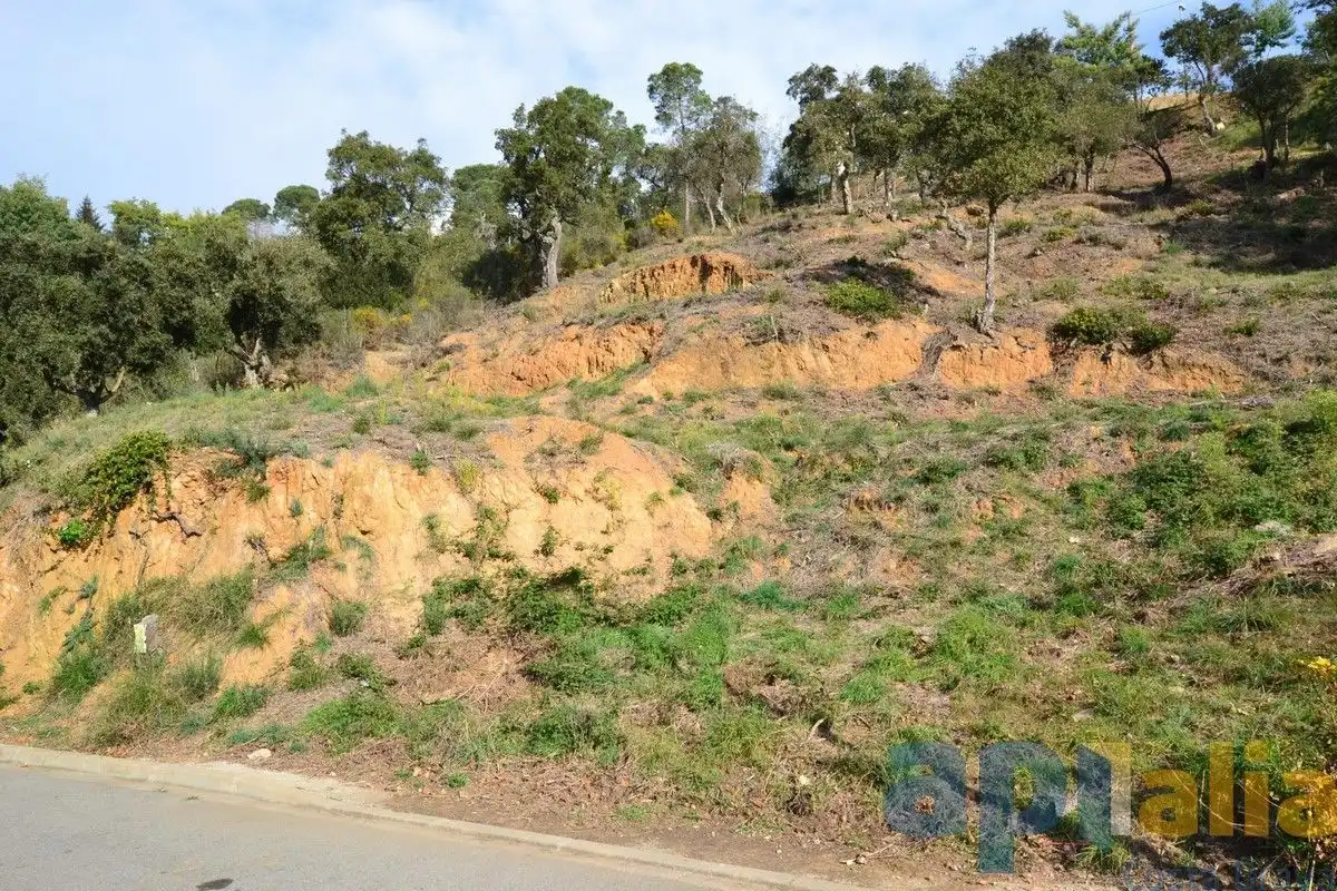 Residential land for sale in Carrer Eucaliptus, imagen 7
