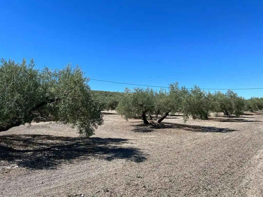 Finca rústica en venta en Martos