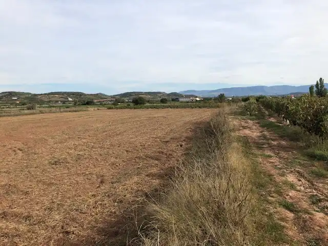 Terreny rústic en venda a Navarrete, imagen 5