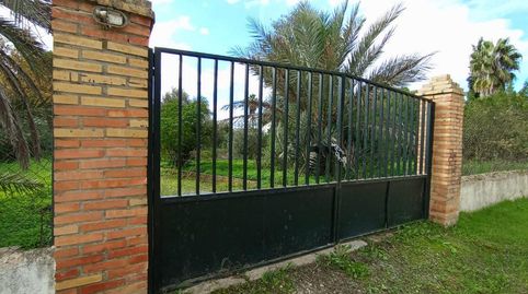 Foto 2 de Casa o chalet en venta en Calle Sierra de Cazorla, 223, Sanlúcar la Mayor, Sevilla