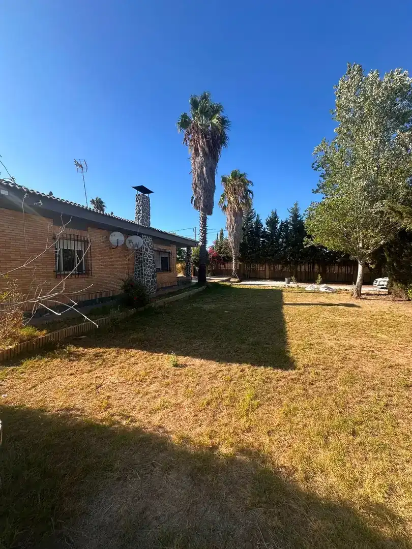 Garden of Country homes for rent in Punta Umbría, Huelva