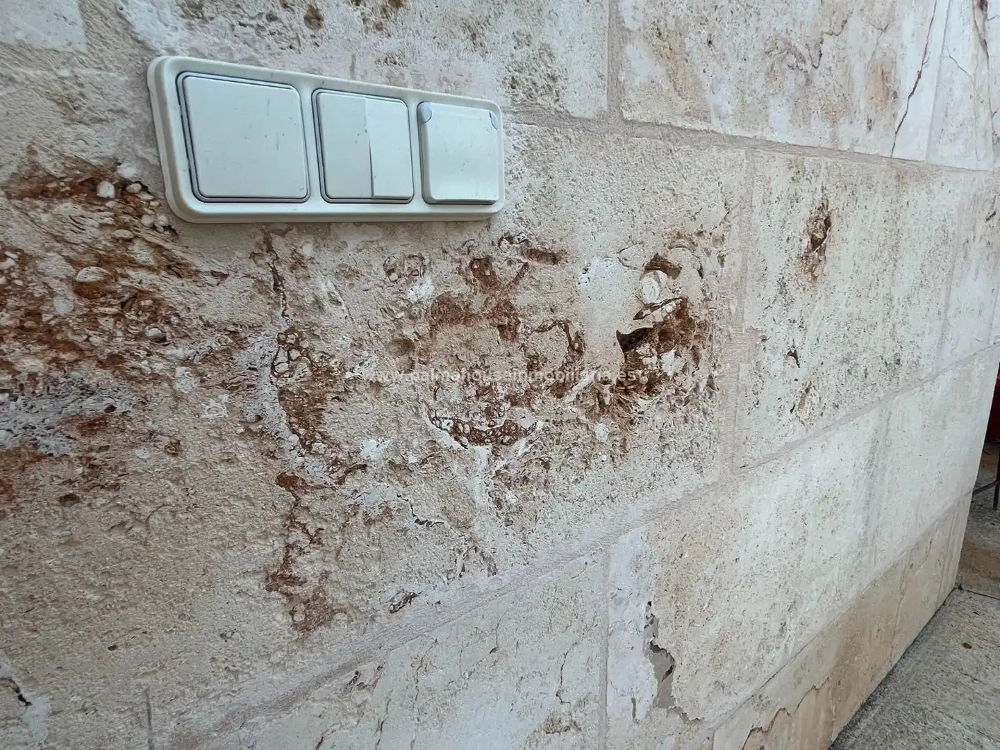 Terreny residencial en venda a Maria de la Salut, imagen 17