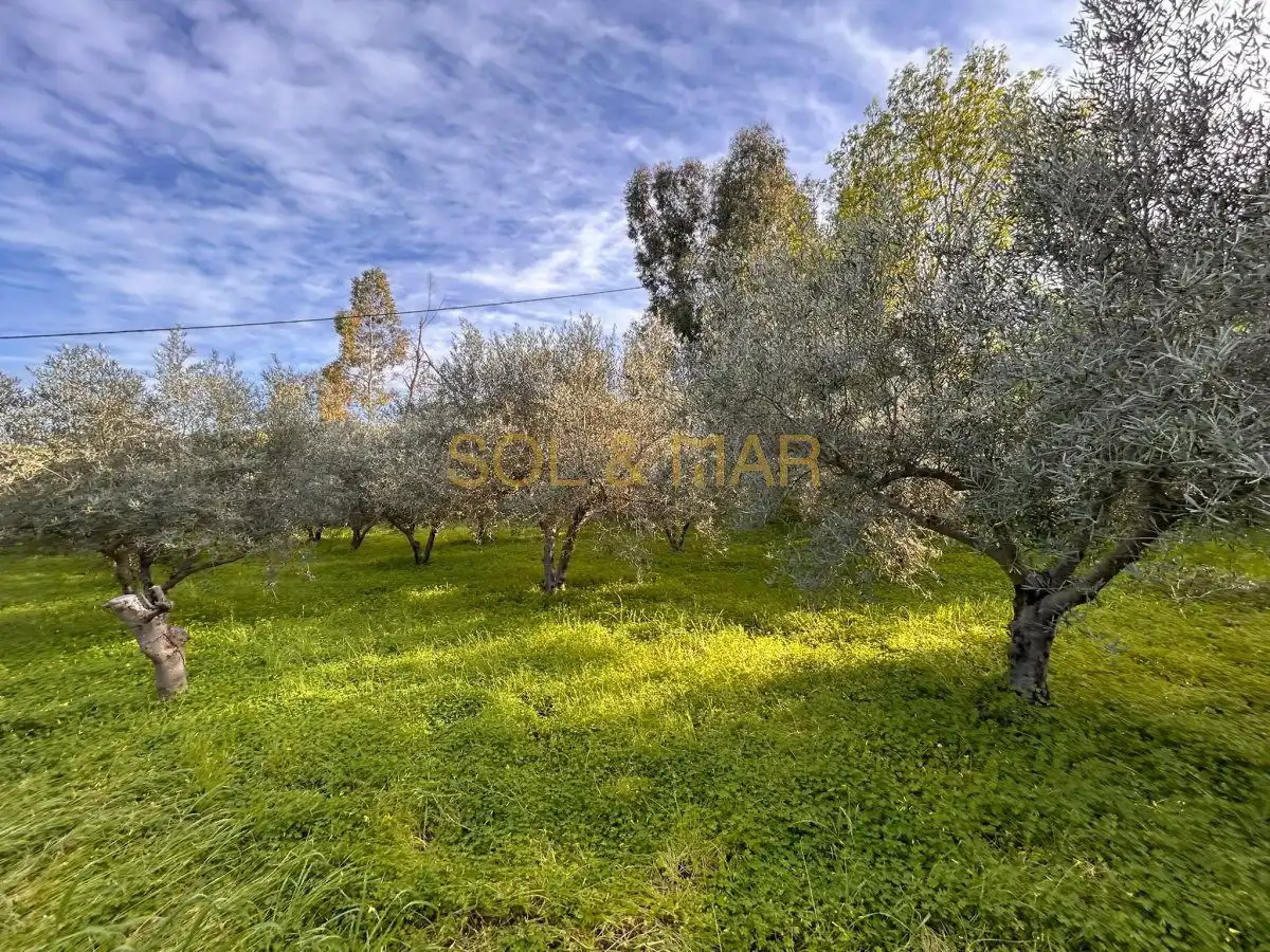 Casa rústica en venta en Nueva Aljaima - Las Tres Leguas - Los Mondeños, imagen 10