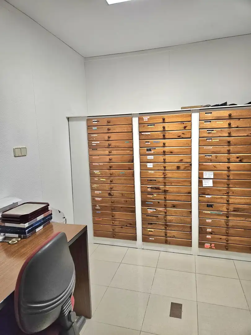 Commercial properties for rent in A Coruña Capital 