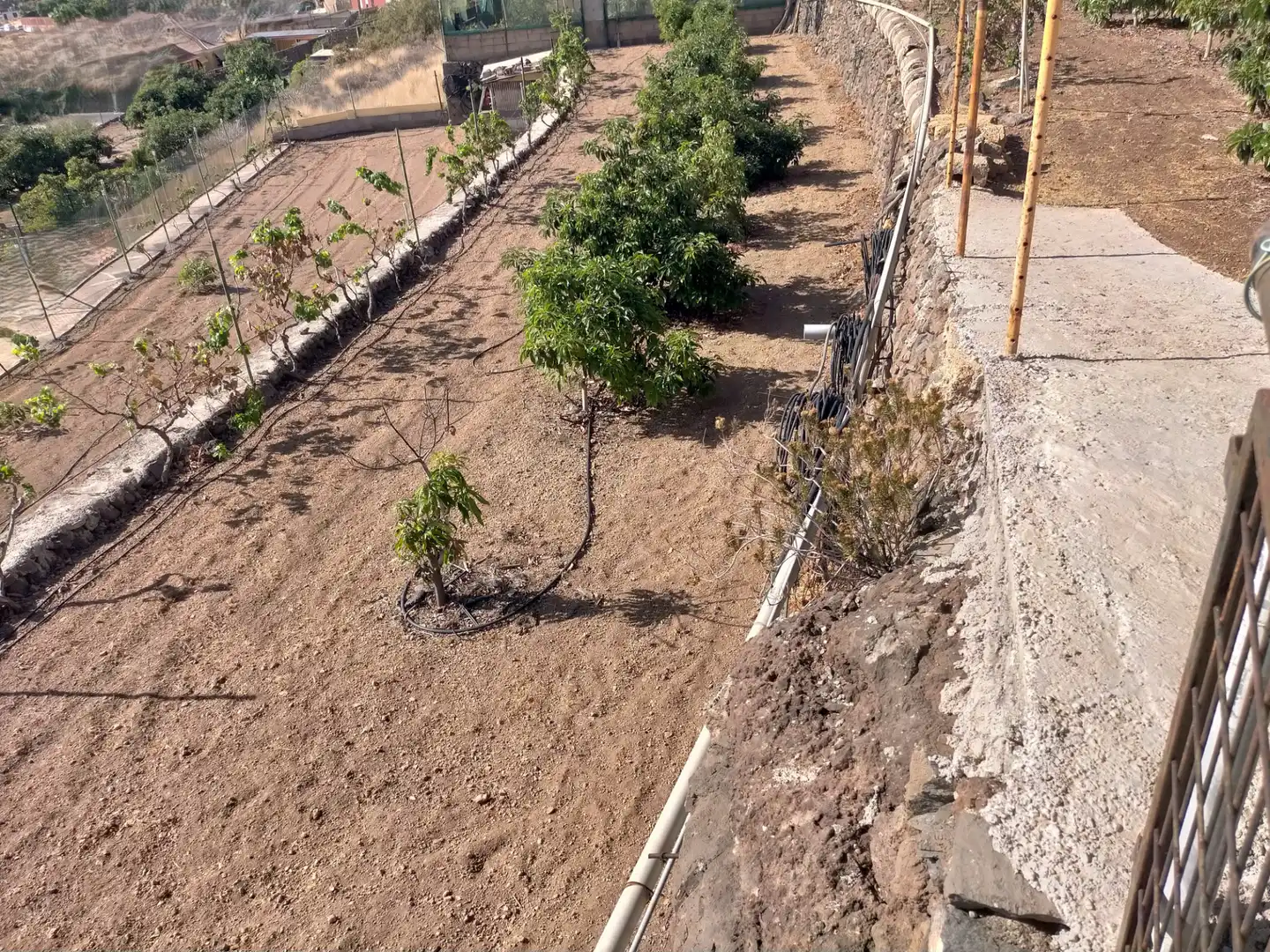 Terreny rústic en venda a Igueste de Candelaria, imagen 12
