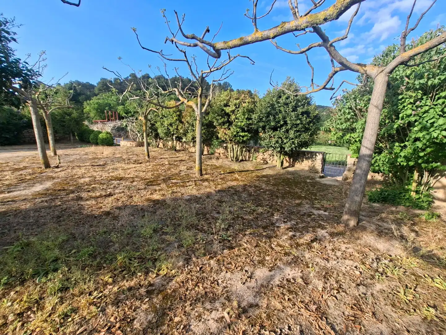 Terreno rústico en venta en Vallbona de Les Monges, imagen 14