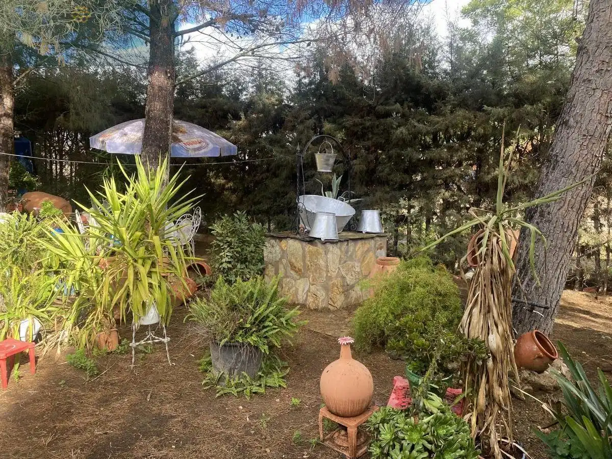 Garden of Houses for sale in Mérida  with Air Conditioner and Swimming Pool