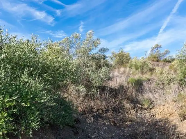 Terreni e lotti in vendita a Torrox Pueblo