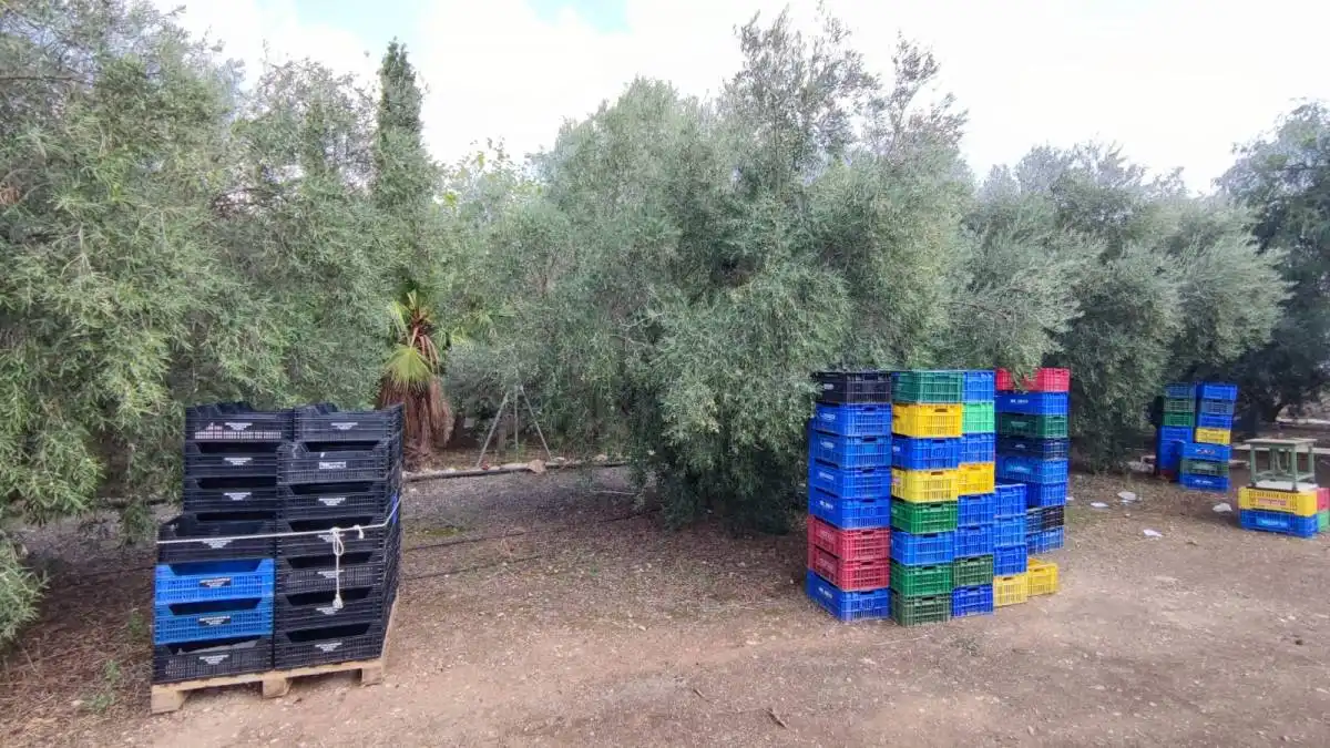 Casa rustica in vendita a Pedanías Oeste, imagen 4