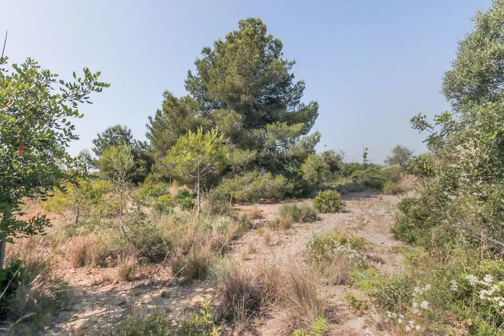 Rural land for sale in C/ Manuel de Pedrolo, imagen 15