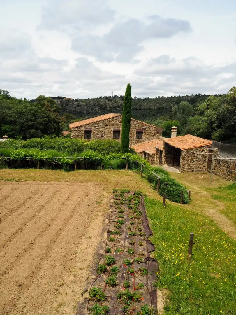 Houses for sale in Madroñera - LAS ANIMAS, Madroñera