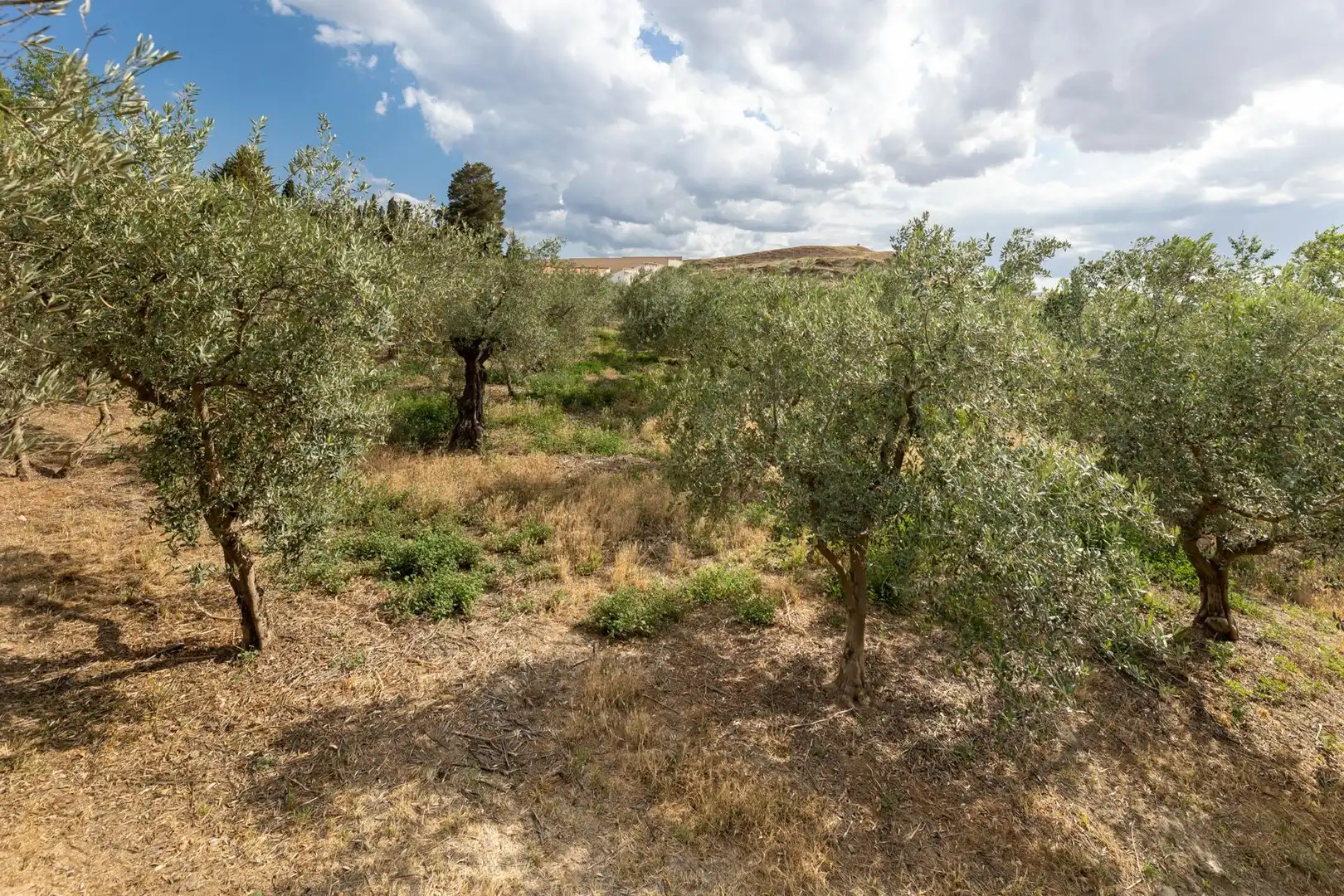 Terreno rustico in vendita a Calle POL 1, PARC 176, imagen 12